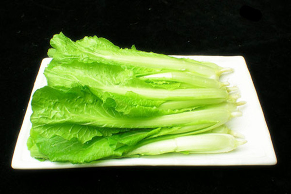 小白菜怎么挑選 小白菜的保存方法 小白菜怎么挑選 小白菜的保存方法