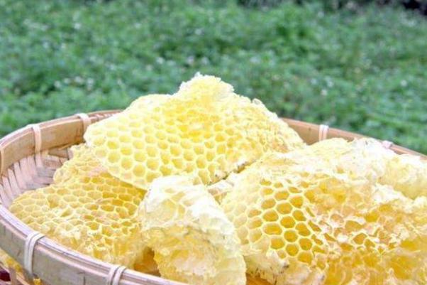 蜂巢蜜是怎么形成的 蜂巢蜜什么人不能吃 蜂巢蜜是怎么形成的 蜂巢蜜什么人不能吃