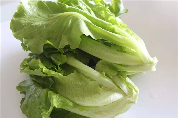 生菜對(duì)胃有傷害嗎 生菜的功效和作用