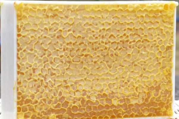 蜂巢蜜是怎么形成的 蜂巢蜜什么人不能吃 蜂巢蜜是怎么形成的 蜂巢蜜什么人不能吃