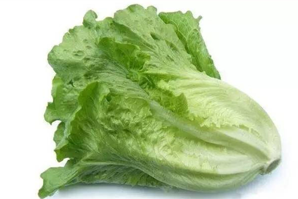 生菜洗的時候為什么會滑 生菜洗的時候很多泡沫能吃嗎 生菜洗的時候為什么會滑 生菜洗的時候很多泡沫能吃嗎