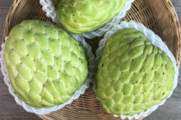 釋迦果的皮能吃嗎 釋迦果是大的好還是小的好 釋迦果的皮能吃嗎 釋迦果是大的好還是小的好