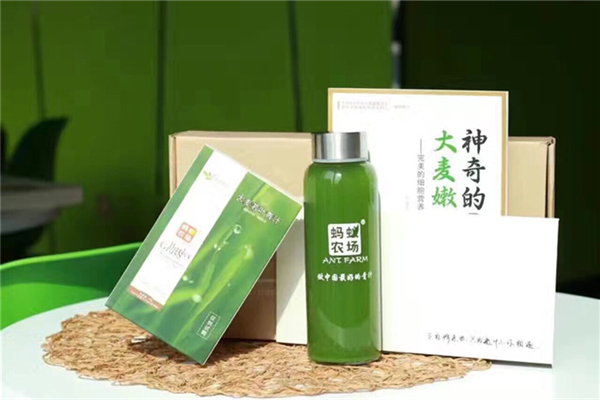 青汁有依賴(lài)性嗎 青汁和酵素哪個(gè)效果好