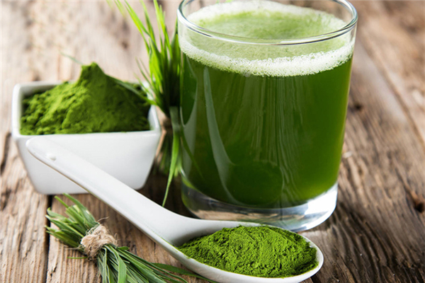 青汁含糖嗎 青汁不適合哪些人群 青汁含糖嗎 青汁不適合哪些人群
