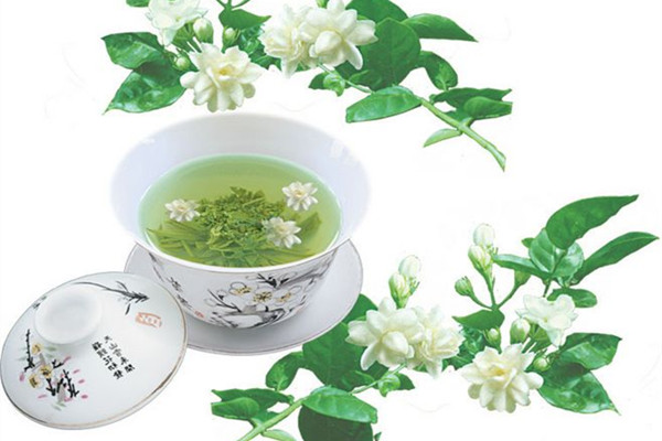 茉莉花茶的功效與作用 茉莉花茶的副作用 茉莉花茶的功效與作用 茉莉花茶的副作用