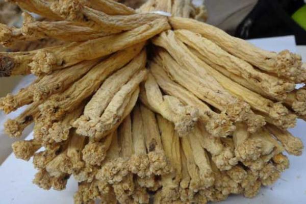 黨參會不會上火 黨參會回奶嗎 黨參會不會上火 黨參會回奶嗎