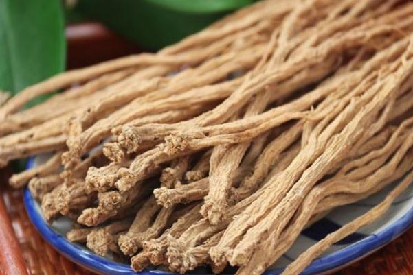 黨參會不會上火 黨參會回奶嗎 黨參會不會上火 黨參會回奶嗎