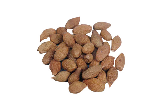 胖大海能泡水喝嗎 胖大海能長(zhǎng)期泡水喝嗎