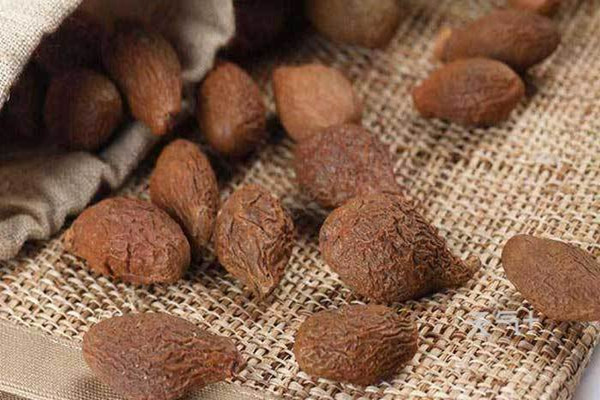 胖大海小孩子可以喝嗎 小孩子喝胖大海放幾顆 胖大海小孩子可以喝嗎 小孩子喝胖大海放幾顆