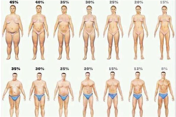 體脂率是脂肪率嗎 體脂率是怎么測出來的 體脂率是脂肪率嗎 體脂率是怎么測出來的