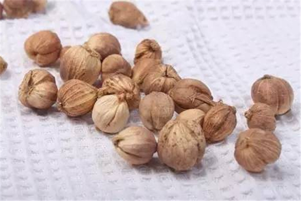 草豆蔻的別名 草豆蔻的功效和作用 草豆蔻的別名 草豆蔻的功效和作用