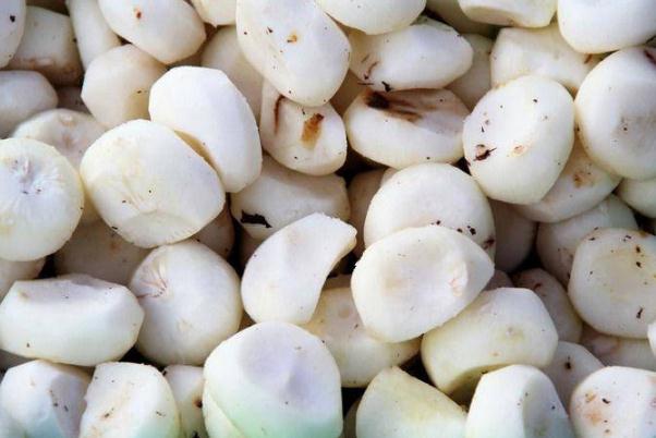 荸薺是發(fā)物嗎 荸薺經(jīng)期可以吃嗎 荸薺是發(fā)物嗎 荸薺經(jīng)期可以吃嗎