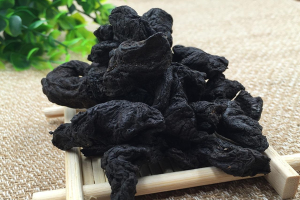 熟地黃的適宜人群 熟地黃能和黃芪一起用嗎 熟地黃的適宜人群 熟地黃能和黃芪一起用嗎