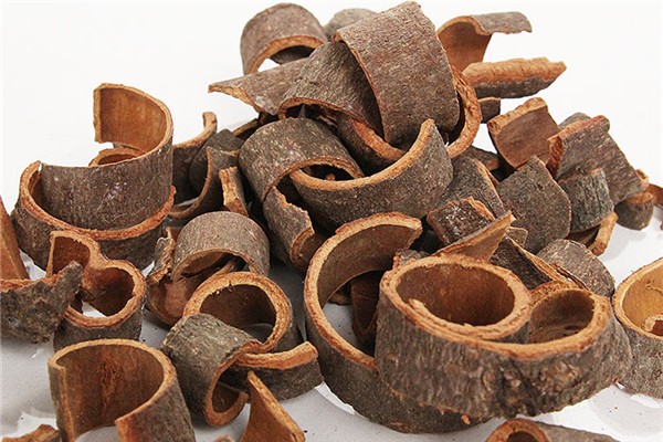 桂皮哪里產的最好 桂皮有假的嗎