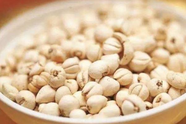 川貝對(duì)支氣管炎有用嗎 川貝對(duì)肺結(jié)節(jié)有用嗎 川貝對(duì)支氣管炎有用嗎 川貝對(duì)肺結(jié)節(jié)有用嗎