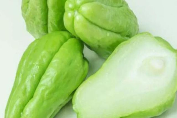 佛手瓜能治咳嗽嗎 胃炎能吃佛手瓜嗎 佛手瓜能治咳嗽嗎 胃炎能吃佛手瓜嗎