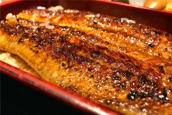 鰻魚(yú)對(duì)男性有什么好處 鰻魚(yú)的功效和作用