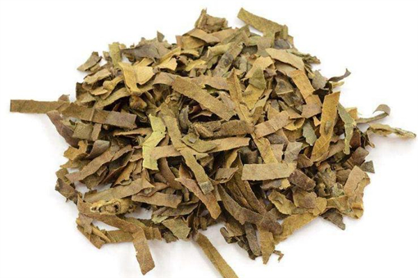 枇杷葉要老葉還是新葉 枇杷葉的功效和作用 枇杷葉要老葉還是新葉 枇杷葉的功效和作用