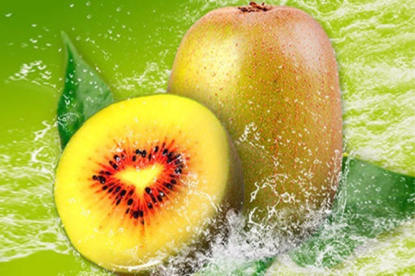 獼猴桃孕婦可以吃嗎 獼猴桃孕婦吃好嗎 獼猴桃孕婦可以吃嗎 獼猴桃孕婦吃好嗎