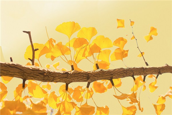 秋分后天氣還熱嗎 秋分后還會熱多久 秋分后天氣還熱嗎 秋分后還會熱多久