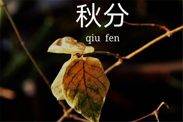 秋分白天黑夜有什么特點(diǎn) 秋分白天和黑夜一樣長嗎 秋分白天黑夜有什么特點(diǎn) 秋分白天和黑夜一樣長嗎