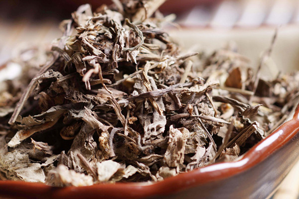 車前草可以泡水喝嗎 車前草泡水喝的功效 車前草可以泡水喝嗎 車前草泡水喝的功效