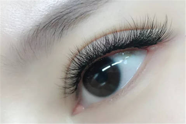 種睫毛一般保持多久 種睫毛要多久時(shí)間做好 種睫毛一般保持多久 種睫毛要多久時(shí)間做好