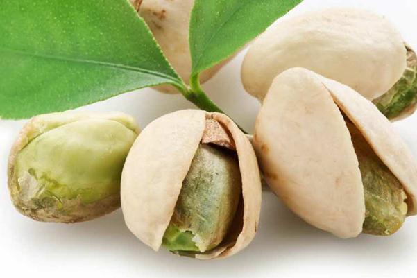 開心果是銀杏樹的果實 開心果是什么樹的果實 開心果是銀杏樹的果實 開心果是什么樹的果實