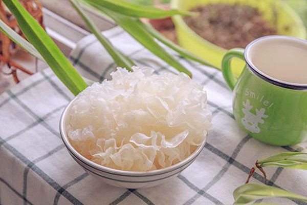 銀耳能天天吃嗎 銀耳吃多了有什么害處 銀耳能天天吃嗎 銀耳吃多了有什么害處