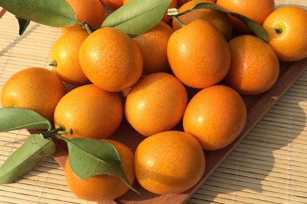 小金桔會(huì)上火嗎 小金桔上火還是下火的 小金桔會(huì)上火嗎 小金桔上火還是下火的