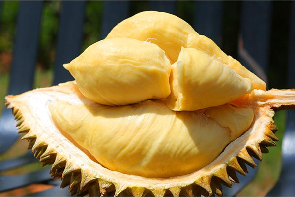 榴蓮為何如此貴 榴蓮什么時候最便宜 榴蓮為何如此貴 榴蓮什么時候最便宜