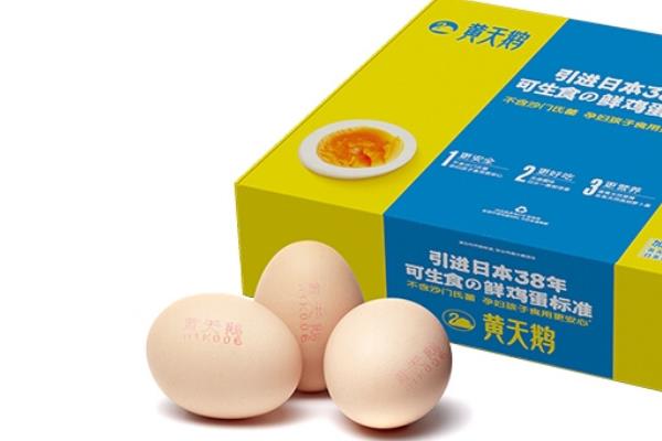 無菌蛋和普通蛋的區(qū)別 無菌蛋是怎么做到的 無菌蛋和普通蛋的區(qū)別 無菌蛋是怎么做到的