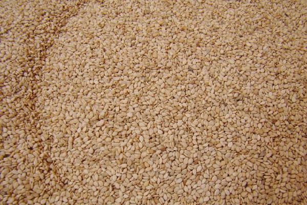 芝麻可以治便秘嗎 芝麻怎么吃治便秘 芝麻可以治便秘嗎 芝麻怎么吃治便秘