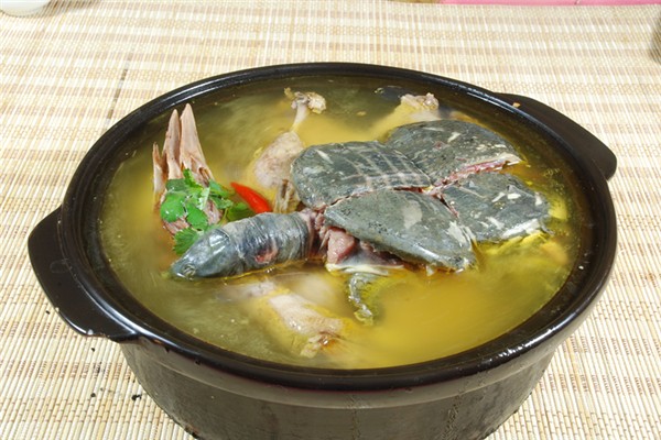 甲魚(yú)燉湯好還是紅燒好 甲魚(yú)怎么做法好吃 甲魚(yú)燉湯好還是紅燒好 甲魚(yú)怎么做法好吃