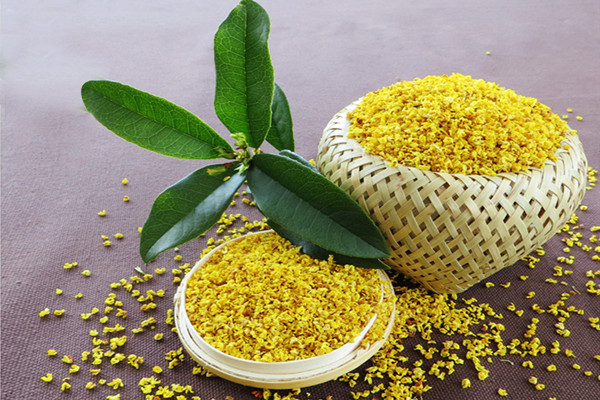 桂花茶用開水泡嗎 桂花茶用什么杯子泡 桂花茶用開水泡嗎 桂花茶用什么杯子泡