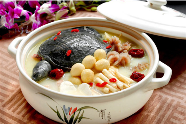 甲魚(yú)燉湯好還是紅燒好 甲魚(yú)怎么做法好吃 甲魚(yú)燉湯好還是紅燒好 甲魚(yú)怎么做法好吃