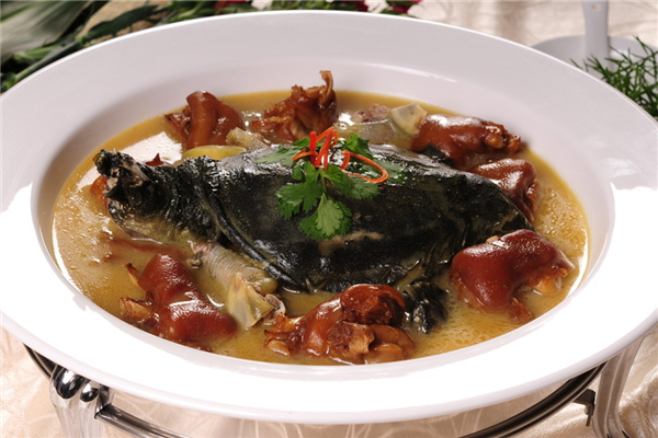 甲魚(yú)膽汁腌制甲魚(yú)能去腥嗎 甲魚(yú)膽汁的功效和作用