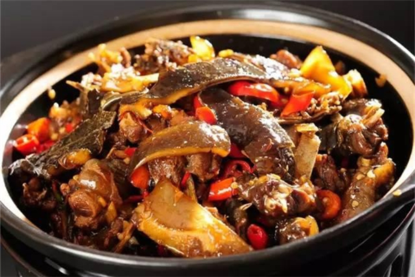 甲魚怎么燉補(bǔ)腎效果好 甲魚補(bǔ)腎效果好嗎 甲魚怎么燉補(bǔ)腎效果好 甲魚補(bǔ)腎效果好嗎