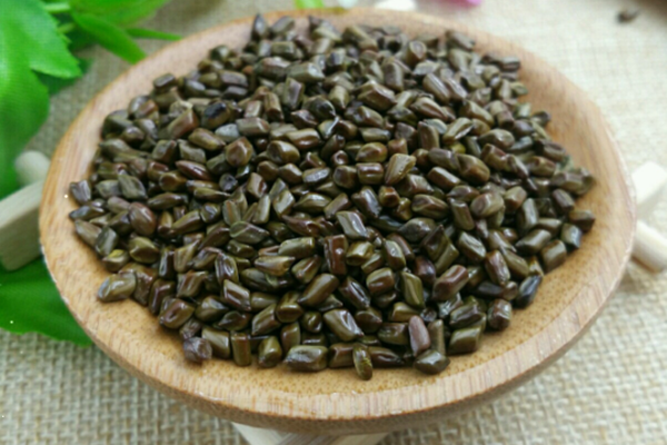 決明子泡水可以天天喝嗎 決明子泡水長(zhǎng)期喝好嗎