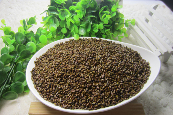 決明子有助于睡眠嗎 決明子的藥用價(jià)值 決明子有助于睡眠嗎 決明子的藥用價(jià)值