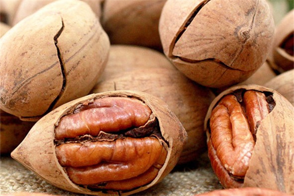 碧根果的熱量是多少大卡 碧根果一次吃幾個好 碧根果的熱量是多少大卡 碧根果一次吃幾個好