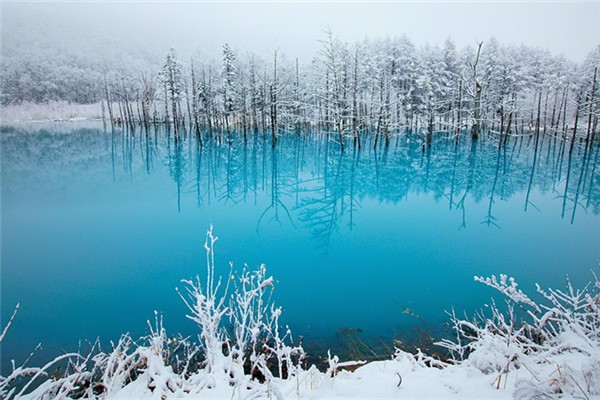 冬季吃蘿卜對身體有什么好處 冬季為什么要吃蘿卜 冬季吃蘿卜對身體有什么好處 冬季為什么要吃蘿卜