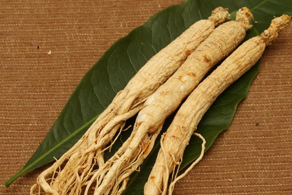 白參是人參嗎 白參別名叫什么 白參是人參嗎 白參別名叫什么