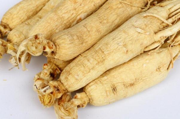 白參是人參嗎 白參別名叫什么 白參是人參嗎 白參別名叫什么