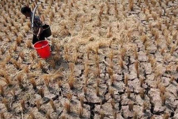 南旱北澇是什么現(xiàn)象 今年為什么會出現(xiàn)南旱北澇 南旱北澇是什么現(xiàn)象 今年為什么會出現(xiàn)南旱北澇