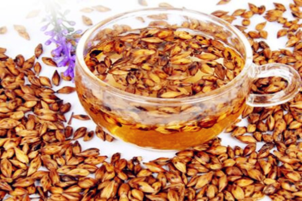 大麥茶能和陳皮一起喝嗎 大麥茶能和玫瑰花一起喝嗎 大麥茶能和陳皮一起喝嗎 大麥茶能和玫瑰花一起喝嗎