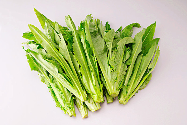 油麥菜有什么營(yíng)養(yǎng)成分 油麥菜可以多吃嗎 油麥菜有什么營(yíng)養(yǎng)成分 油麥菜可以多吃嗎