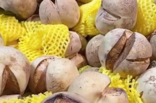 爆炸桃是什么品種 爆炸桃好吃嗎 爆炸桃是什么品種 爆炸桃好吃嗎