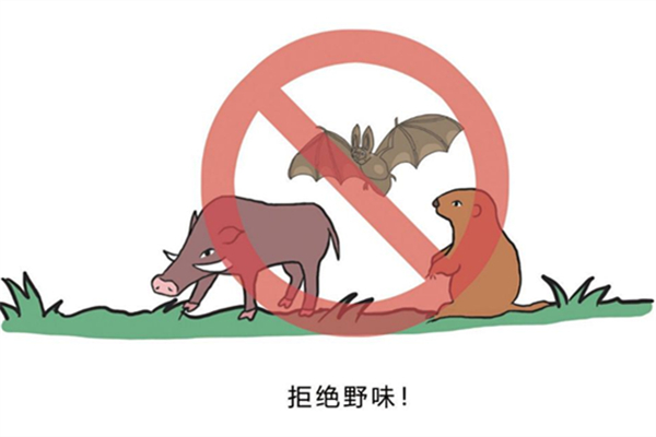 野味指的是什么 野味的危害 野味指的是什么 野味的危害