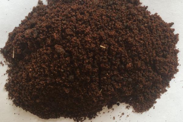 麝香有避孕的效果嗎 麝香對男人有什么好處 麝香有避孕的效果嗎 麝香對男人有什么好處